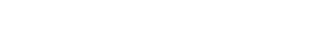 DELLIES HOKKIE