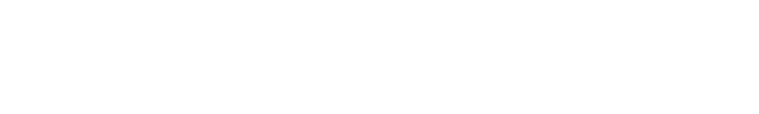 DELLIES SKAAK